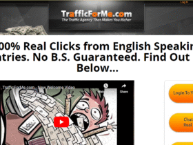 Lixwe blogging | what is trafficforme affiliate program ?