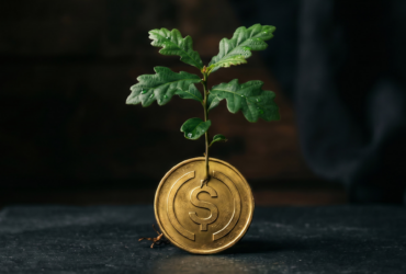 Lixwe blogging | 10 best yield-bearing stablecoin platforms for corporates